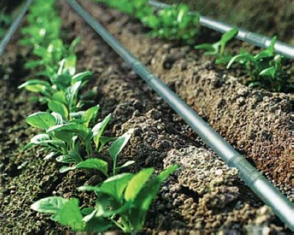 تصویر 4 از خرید دستگاه آبیاری قطره ای + قیمت فروش استثنایی